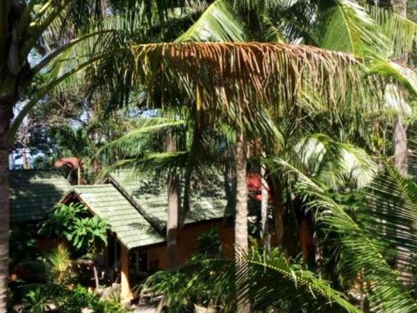 Paradise Palms : photo 6 de la chambre bungalow familial