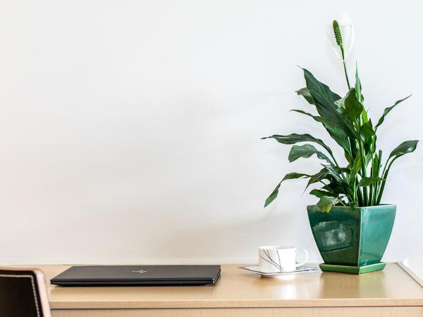 Chalet Eiger : photo 4 de la chambre suite lit king-size avec balcon