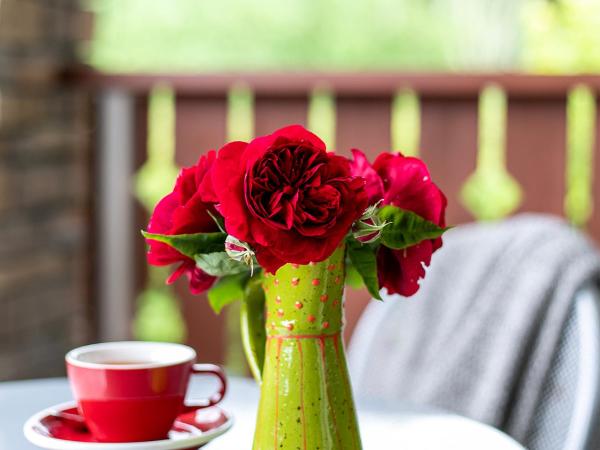 Chalet Eiger : photo 5 de la chambre suite lit king-size avec balcon