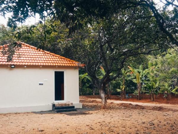 Farm Stay Resort - Shamirpet, Hyderabad : photo 1 de la chambre chambre deluxe avec 2 lits queen-size
