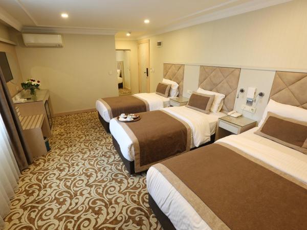 Alpinn Hotel Istanbul : photo 1 de la chambre chambre familiale avec salle de bains commune