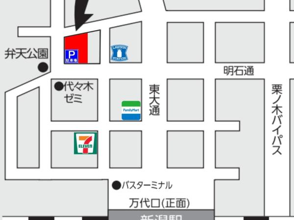 Niigata Toei Hotel : photo 2 de la chambre chambre simple - fumeurs