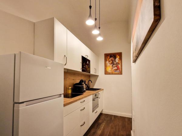 Pension Mozart - Newly Renovated : photo 3 de la chambre studio avec cuisine - vue sur rue