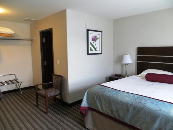Super 8 by Wyndham Saskatoon Near Downtown : photo 6 de la chambre chambre avec 2 lits king-size - non-fumeurs