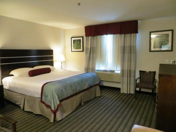 Super 8 by Wyndham Saskatoon Near Downtown : photo 4 de la chambre chambre avec 2 lits king-size - non-fumeurs