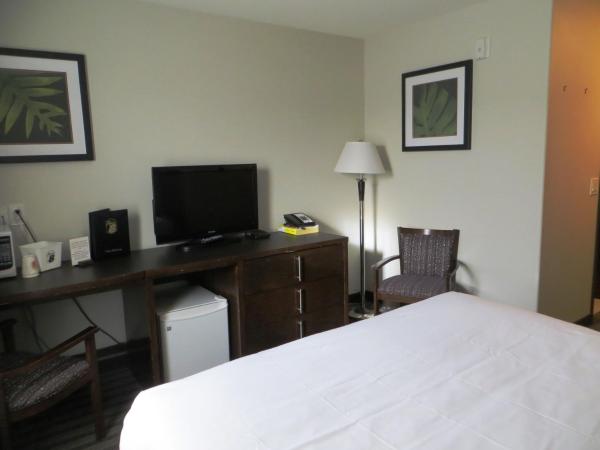 Super 8 by Wyndham Saskatoon Near Downtown : photo 6 de la chambre chambre lit queen-size - non-fumeurs