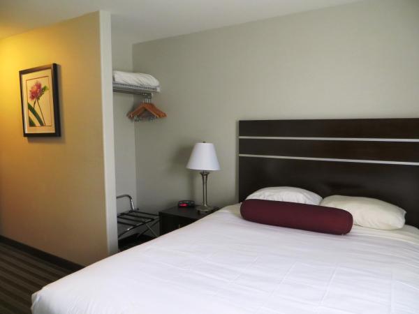 Super 8 by Wyndham Saskatoon Near Downtown : photo 3 de la chambre chambre lit queen-size - non-fumeurs
