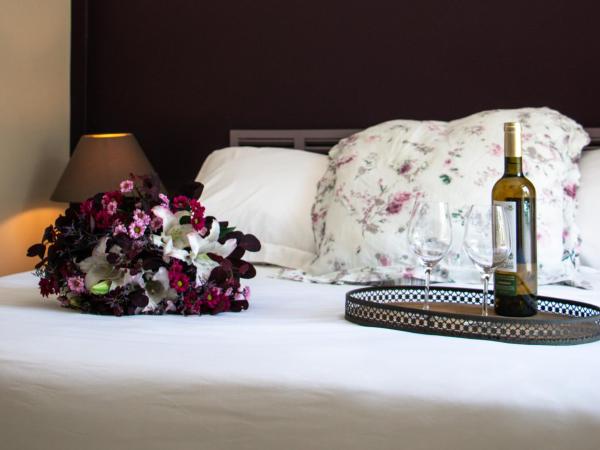 Château le Bouïs : photo 4 de la chambre chambre double classique