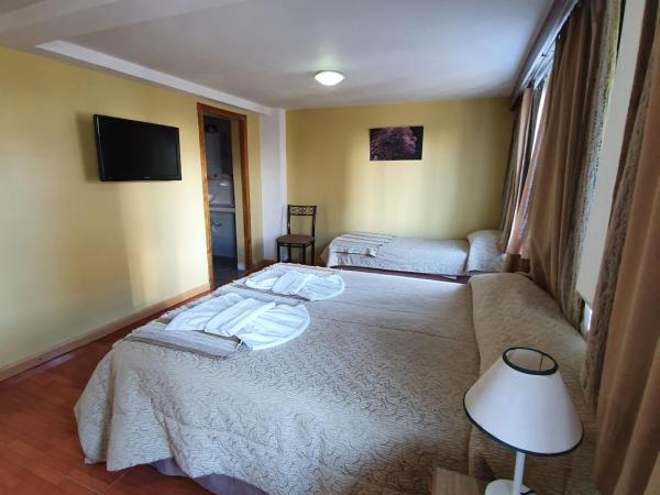Monte Cervino Hotel : photo 1 de la chambre chambre quadruple avec salle de bains