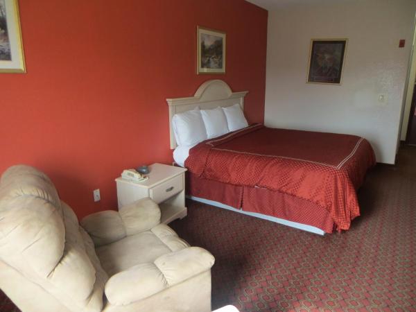 Americas Best Value Inn and Suites Houston FM 1960 : photo 7 de la chambre chambre lit king-size - non-fumeurs