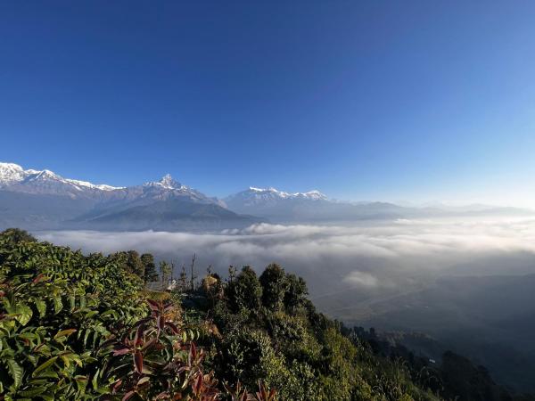 ES Deurali Resort : photo 10 de la chambre chambre lit king-size supérieure