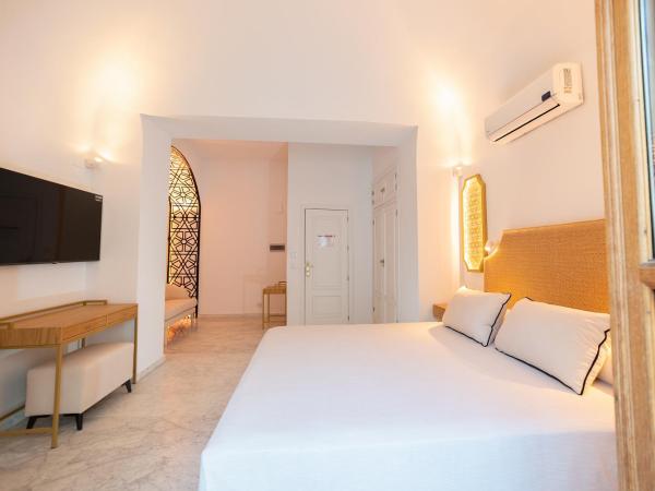 Hotel Casa Palacio la Sal : photo 6 de la chambre suite junior