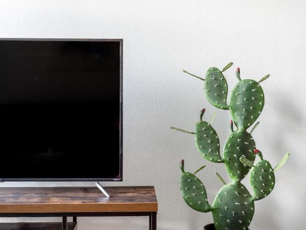 Kasa Greenville Dallas : photo 9 de la chambre appartement 1 chambre (enregistrement autonome avec réception virtuelle)