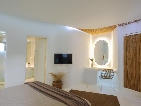 Andronikos Hotel : photo 4 de la chambre chambre double cocon - vue sur jardin