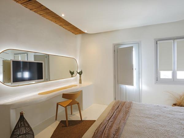 Andronikos Hotel : photo 2 de la chambre chambre double cocon - vue sur jardin