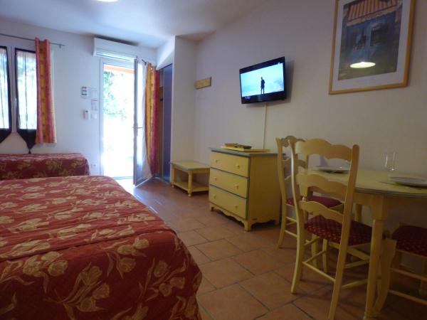 Appart'Hotel Festival Sud Aqua - Avignon TGV : photo 4 de la chambre studio - vue sur piscine 