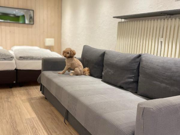 Apartmenthaus Sonnen : photo 5 de la chambre appartement 1 chambre (3 adultes)