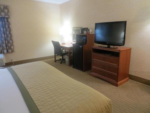Baymont by Wyndham Indianapolis West : photo 3 de la chambre chambre lit king-size - non-fumeurs