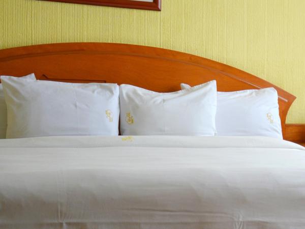 Hotel Real del Sur : photo 3 de la chambre chambre lit king-size deluxe