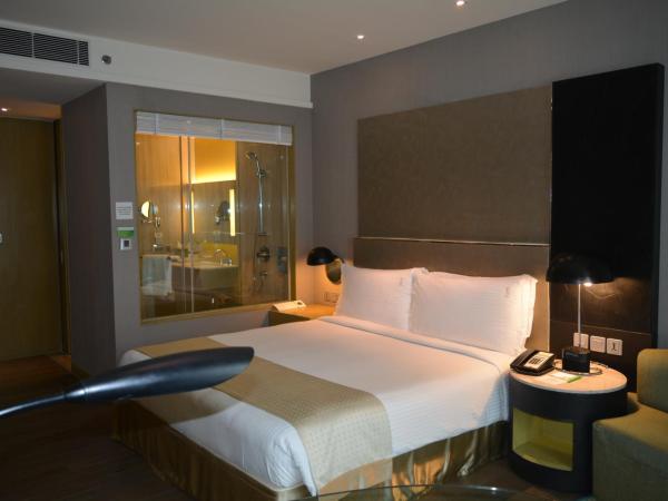 Holiday Inn New Delhi International Airport, an IHG Hotel : photo 5 de la chambre chambre premium 