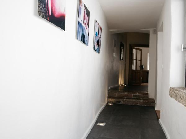 artHotel Blaue Gans : photo 7 de la chambre maisonnette