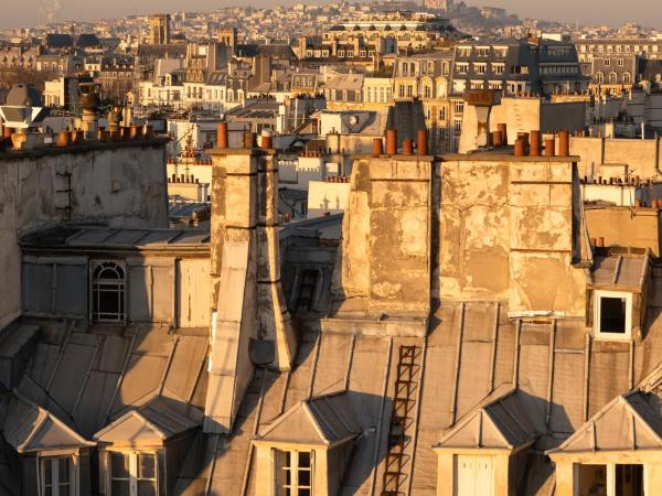 Hôtel Dame des Arts : photo 3 de la chambre chambre premium avec terrasse - vue sur tour eiffel