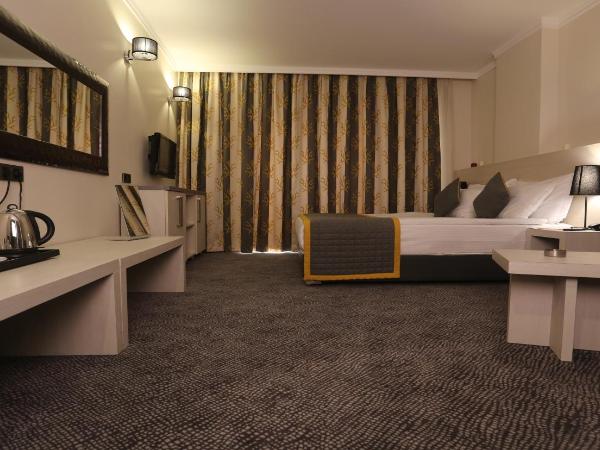 Koza Suite Hotel : photo 3 de la chambre chambre double ou lits jumeaux - accessible aux personnes à mobilité réduite