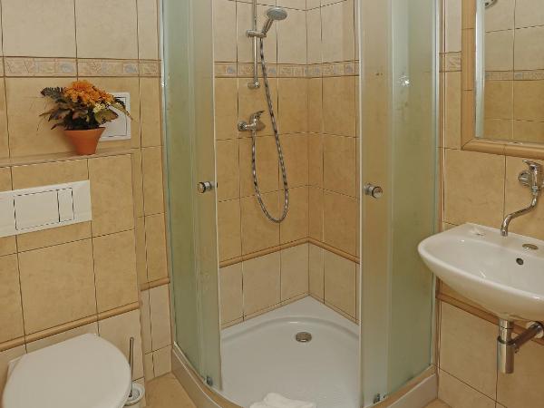 Romania : photo 3 de la chambre chambre simple standard avec vue sur la cour