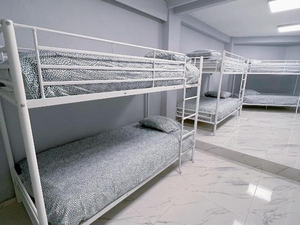 Hostel Thirty One 31 : photo 3 de la chambre lit superposé dans dortoir mixte