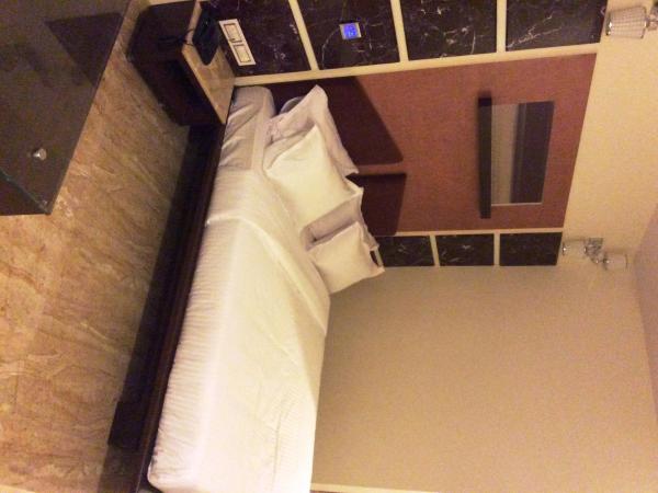 Hotel Sapna : photo 1 de la chambre chambre double deluxe