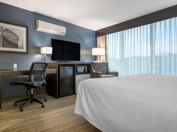 Best Western Plus Chocolate Lake Hotel - Halifax : photo 1 de la chambre chambre lit king-size