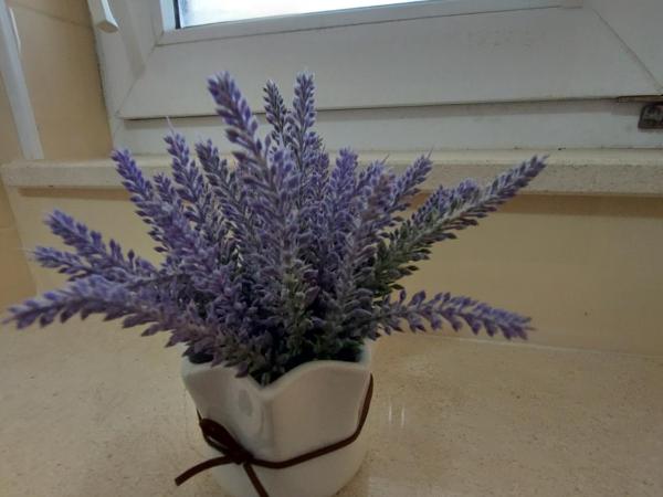 Guest House As : photo 8 de la chambre chambre double avec balcon