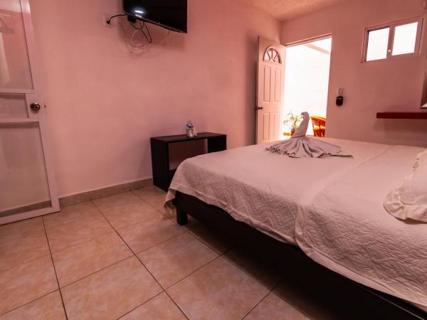 Hotel Bello Caribe Express : photo 8 de la chambre studio lit queen-size