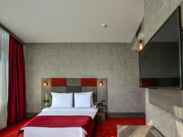 A11 Hotel Atasehir : photo 1 de la chambre chambre double standard