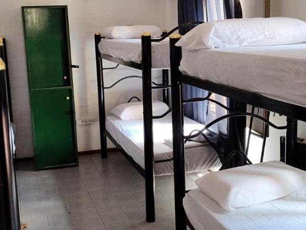Clover Hostel : photo 2 de la chambre lit dans dortoir mixte de 8 lits