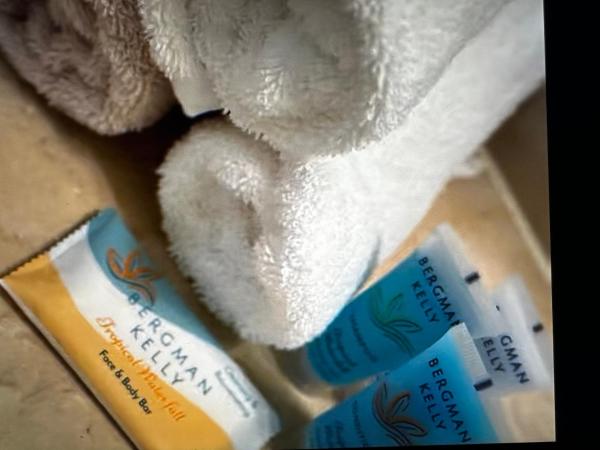 Best Location, Walk Anywhere : photo 5 de la chambre appartement 2 chambres