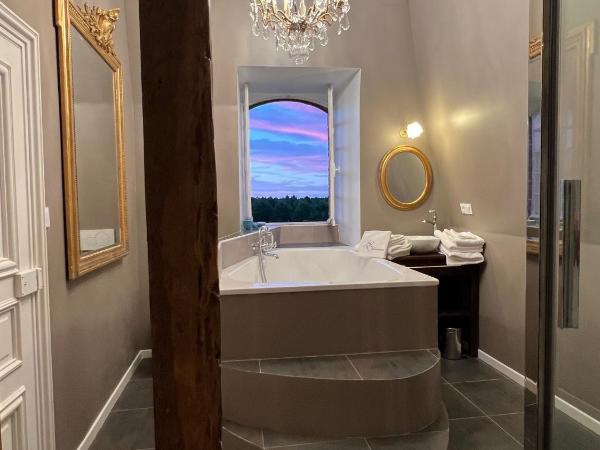 24H LE MANS Château de Lauresse chambres d'hôtes Luxe : photo 1 de la chambre chambre double familiale