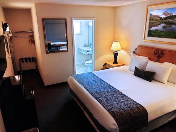 Metropolitan Inn Downtown Salt Lake City : photo 2 de la chambre chambre lit king-size