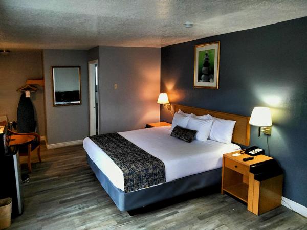 Metropolitan Inn Downtown Salt Lake City : photo 4 de la chambre chambre lit king-size