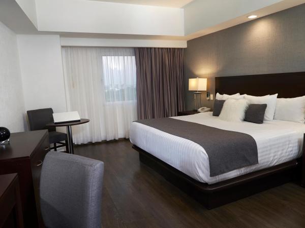 Ejecutivo Express Guadalajara Providencia - Av México : photo 1 de la chambre chambre lit king-size standard