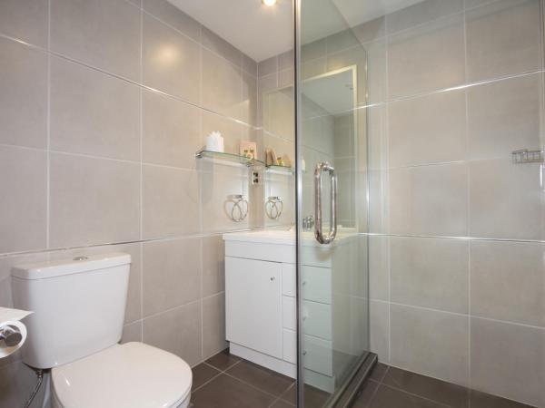 Autoline Queenstown Motel : photo 3 de la chambre chambre double basique