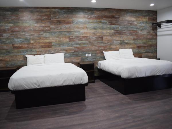 Hyde Park Motel : photo 3 de la chambre chambre double avec 2 lits doubles