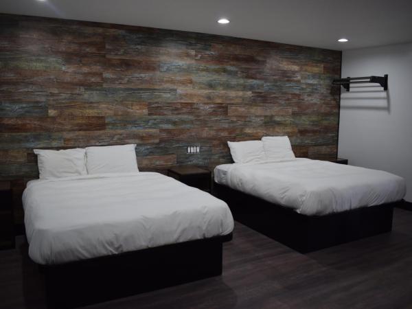 Hyde Park Motel : photo 5 de la chambre chambre double avec 2 lits doubles