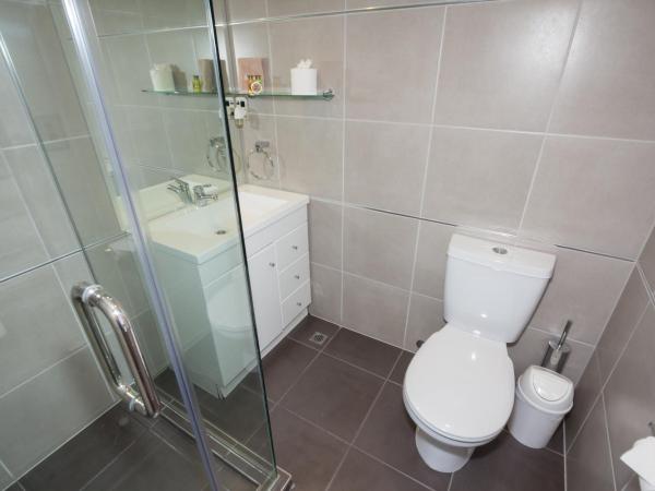 Autoline Queenstown Motel : photo 8 de la chambre appartement 1 chambre - vue sur montagne