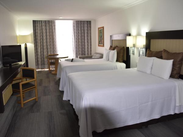 Hotel Royal Reforma : photo 2 de la chambre chambre double standard avec 2 lits doubles
