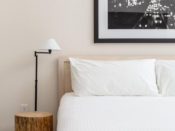 Kasa Love Field-Medical District Dallas : photo 9 de la chambre studio (enregistrement autonome avec réception virtuelle)