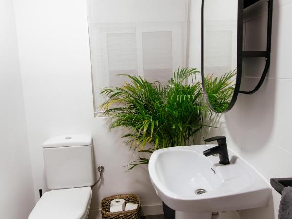 Koala Hostel : photo 3 de la chambre chambre lits jumeaux standard avec salle de bains commune