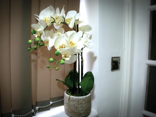 Rostron House : photo 2 de la chambre chambre double avec salle de bains commune