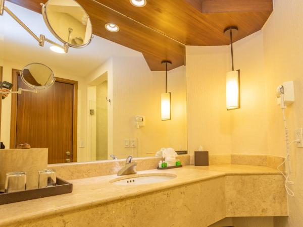 Royal Solaris Los Cabos-All Inclusive : photo 7 de la chambre chambre deluxe double ou lits jumeaux