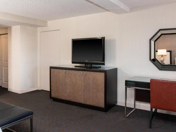 Sheraton Mission Valley San Diego Hotel : photo 6 de la chambre deluxe, larger guest room, 1 king, sofa bed, city view